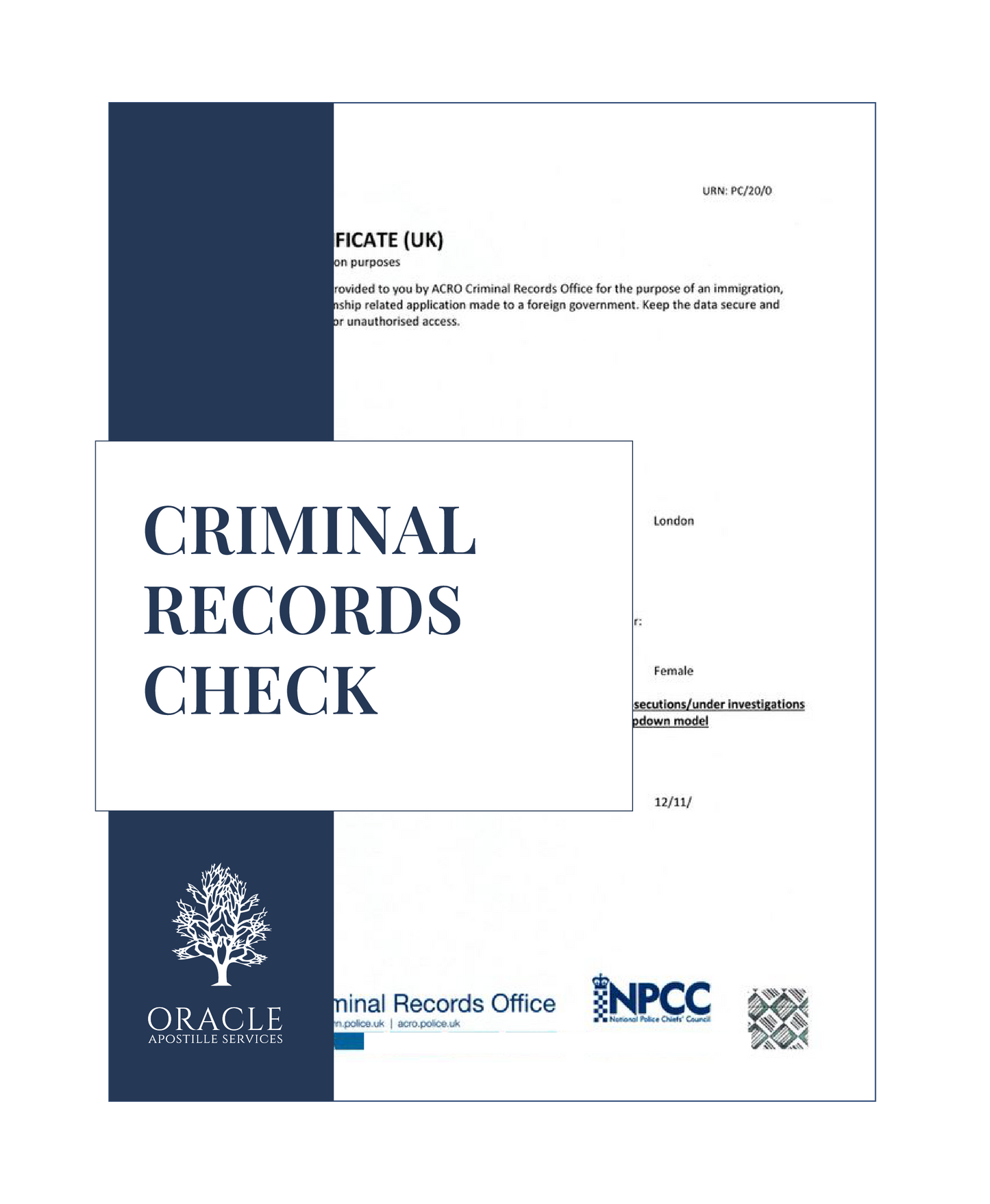 Criminal records check – Premium 1 day Apostille service