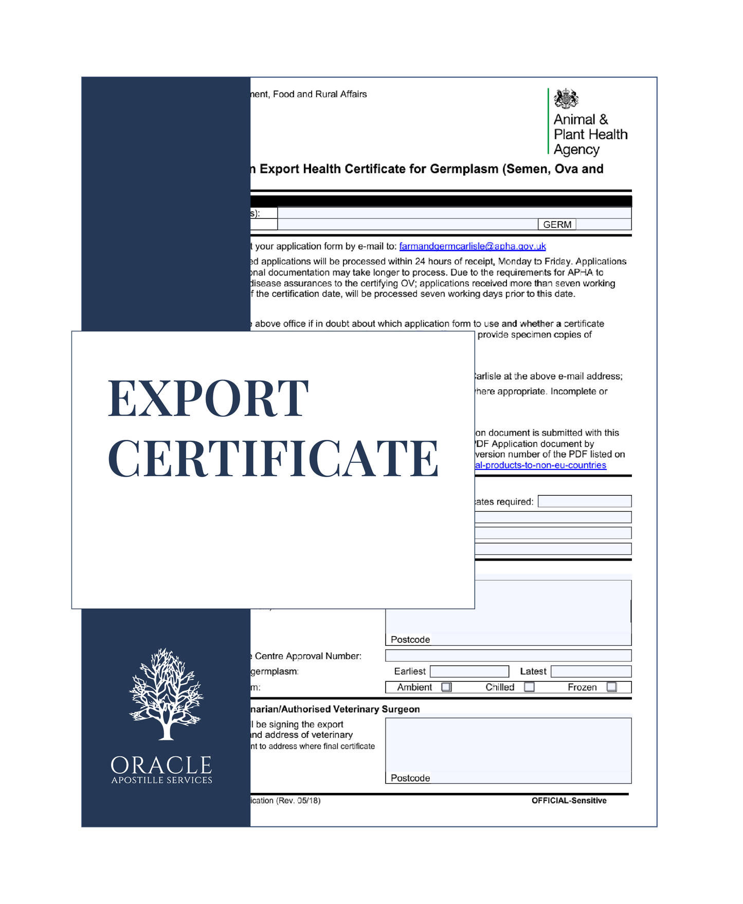 Export certificate – Premium 1 day Apostille service