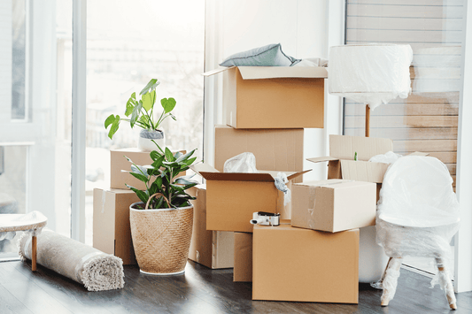 How to organise a family document folder before moving abroad