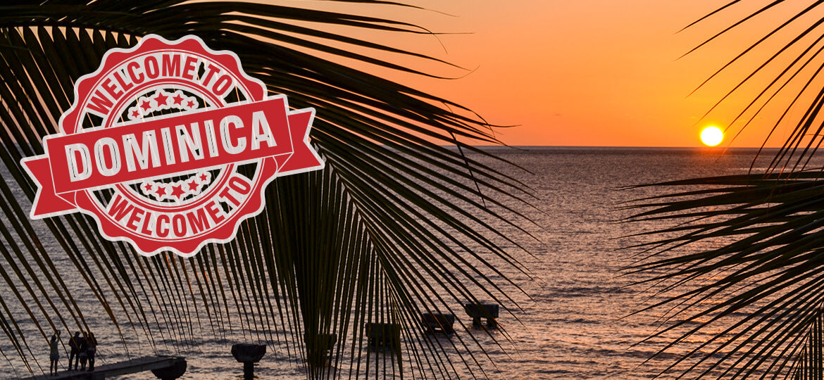 Sunset over the ocean with palm leaves and 'Welcome to Dominica' text overlay.