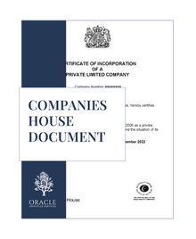 Companies House document – Premium 1 day Apostille service