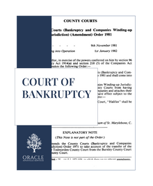 Court of Bankruptcy document – Premium 1 day Apostille service