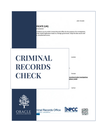 Criminal records check – Premium 1 day Apostille service