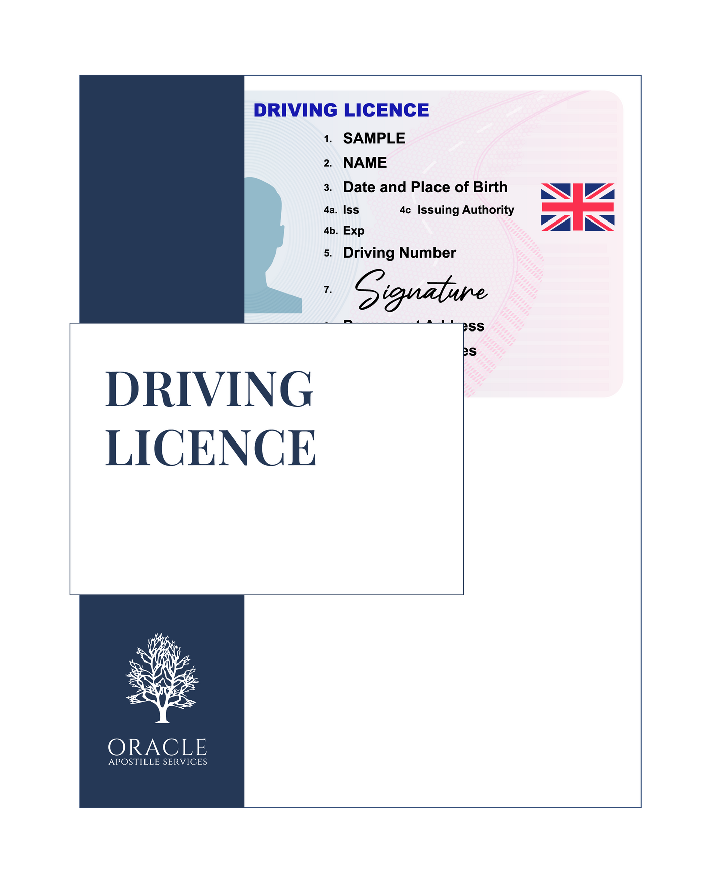 Driving licence – Premium 1 day Apostille service