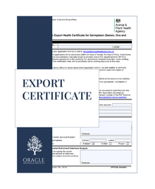 Export certificate – Premium 1 day Apostille service
