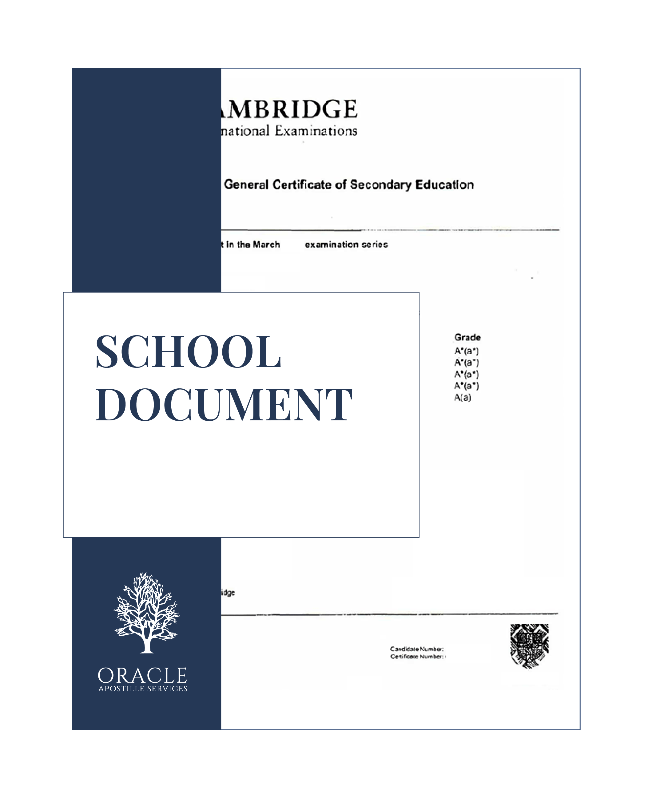 School Document – Verification for Overseas Education – Orcap