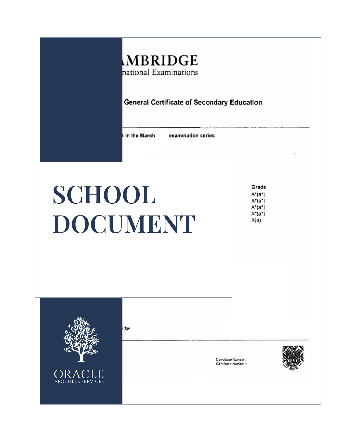 School document – Premium 1 day Apostille service