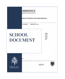 School document – Premium 1 day Apostille service