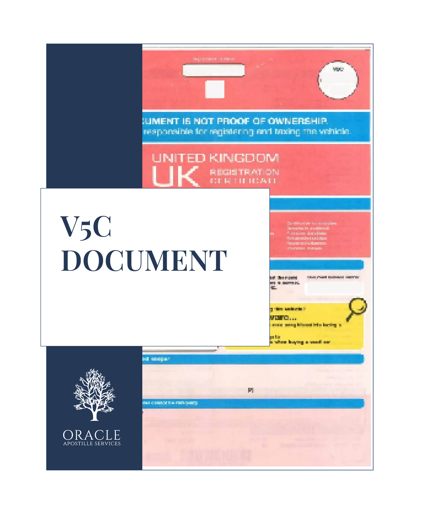 V5C document – Premium 1 day Apostille service