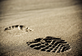 Immigration: voting with feet – and wallets